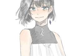 Fate 드림캐 정리2