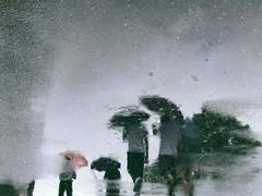 언젠가 설명이 필요한 밤 上