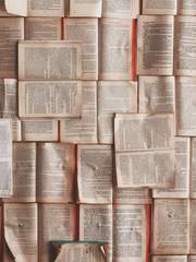 혼자 묻은 도토리