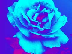 [샌즈프리] *이것은 낡은 회고록이다.