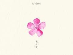 -. 비 오는 날의 수채화