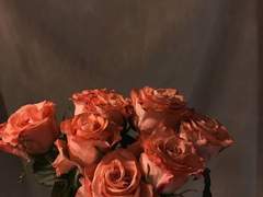 메트로 폴리탄 (NO.3)