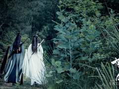 진정령 의성조 테마곡 孤城 가사 번역