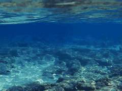 [혁켄/다각] Blue Dream ②