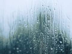 [긴히지] 그냥 그러고 싶어서