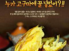 헤남 꿀 고구마 下 - 1