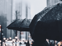 [드레해리] 무제