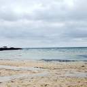 거북이는 어디로 갈까