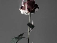 [슈짐] 잊지 않을 사람, 잊어버렸다 믿은 사람.