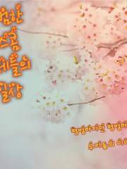 평범한 시스콤형제들의 일상