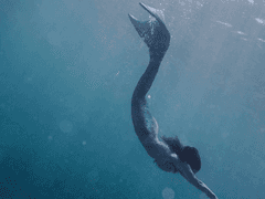 [8월을 침범한 아가미 소년]