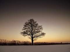 본분(本分)을 다한다는 것.