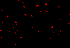 [단편] Black Jack.