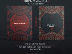 불확실한 경우의 수: INFO