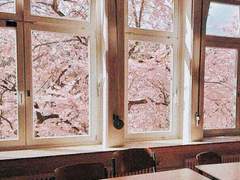 그리고 꽃이 피었다