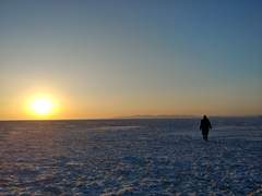 얼음에서 사탕귤을