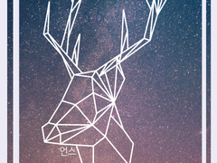 [유혈주의][강조이코][코팬이코] 나무 위의 산양