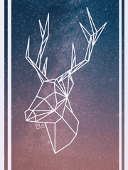 노브랜드 크루 (前 가이코TV, 가팁)