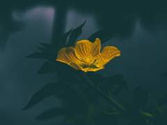 여름방학의 어느 발칙한 이야기.