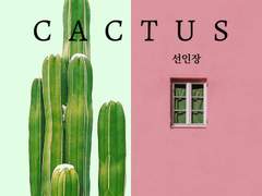 CACTUS (II)
