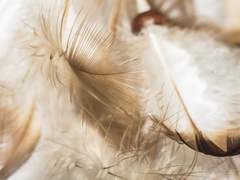 [드로저] Upon this Road