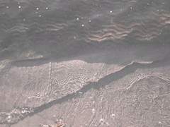 그 시절 (Those days)