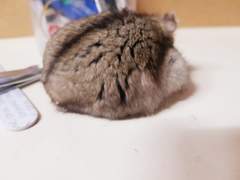 말랑블로그입니다