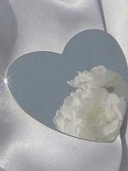 멤버십 전용 글