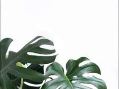 [랩홉] 여름, 100번 버스