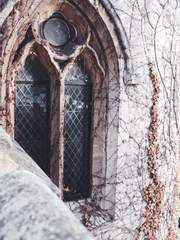 괴물의 식탁 (完)