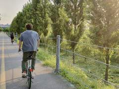 Berry Many Sweets. #S1