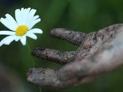 [원소와 원술] 새끼손가락