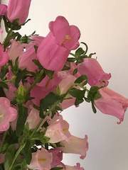 [결삔] 혼자가 아니야