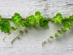 트위터 백업 03.