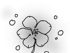 나의 봄을 너에게