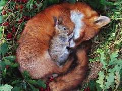 국뷔온 후기 만화