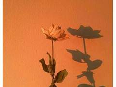 어릿광대를 보내주오