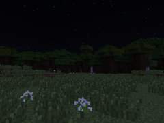 밤에 띄우는 편지2