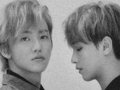 베개 위의 바다