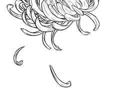 지우는 것과 기억하는 것