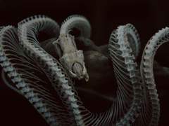 바실리스크와 백설공주