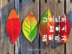 그러니까 알아서 잘하라고 1