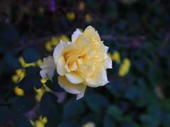 이 모든게 비록 망상이라도