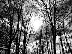 만신 외전 - 배신