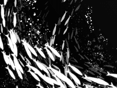 한 여름밤의 꿈 : 1