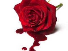 피어나 3차 베스트 작품