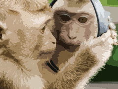 03. A Broken Little Adventure