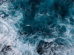 우리는 무너질 행성에 남아