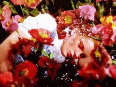 오버 더 레인보우