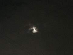 경계선(Borderline) _ [1]